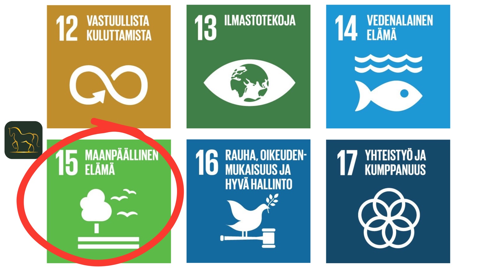Kestävän kehityksen tavoitteet ja eläinten hyvinvointi