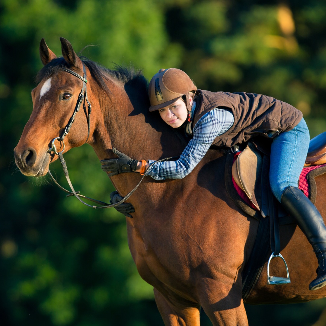 Horse owner