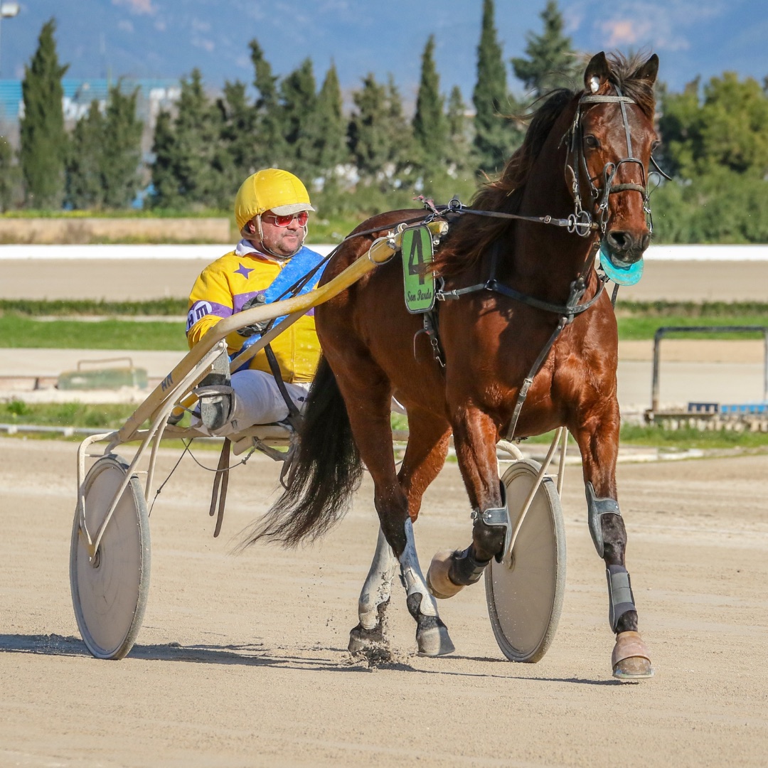 Trotting sport