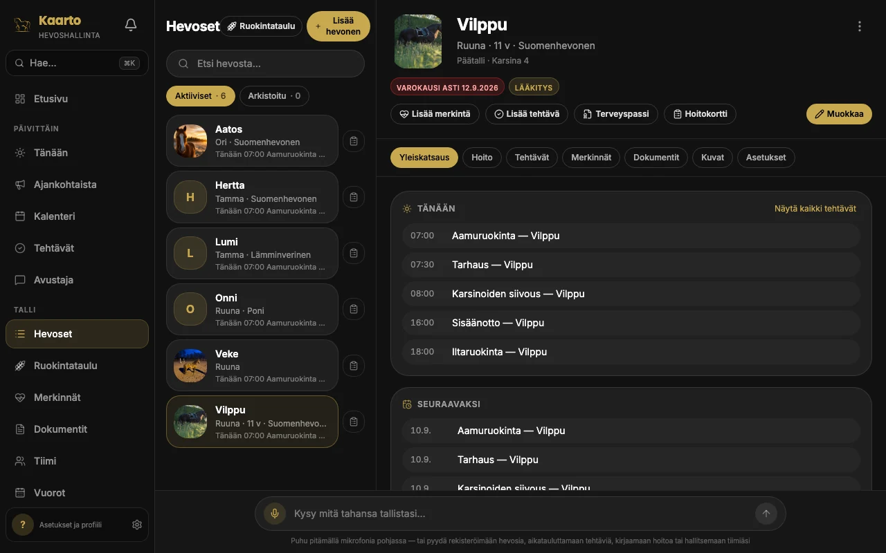 Hevosen profiili: kuva, tunnistetiedot ja hevosen oma historia